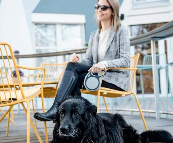 酒店 空军基地酒店 3*